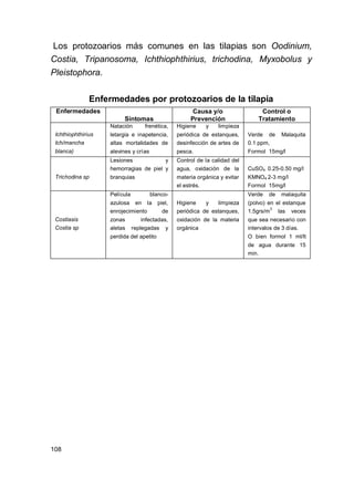 108
Los protozoarios más comunes en las tilapias son Oodinium,
Costia, Tripanosoma, Ichthiophthirius, trichodina, Myxobolus y
Pleistophora.
Enfermedades por protozoarios de la tilapia
Enfermedades
Síntomas
Causa y/o
Prevención
Control o
Tratamiento
Ichthiophthirius
Ich/mancha
blanca)
Natación frenética,
letargia e inapetencia,
altas mortalidades de
alevines y crías
Higiene y limpieza
periódica de estanques,
desinfección de artes de
pesca.
Verde de Malaquita
0.1 ppm,
Formol 15mg/l
Trichodina sp
Lesiones y
hemorragias de piel y
branquias
Control de la calidad del
agua, oxidación de la
materia orgánica y evitar
el estrés.
CuSO4 0.25-0.50 mg/l
KMNO4 2-3 mg/l
Formol 15mg/l
Costiasis
Costia sp
Película blanco-
azulosa en la piel,
enrojecimiento de
zonas infectadas,
aletas replegadas y
perdida del apetito
Higiene y limpieza
periódica de estanques,
oxidación de la materia
orgánica
Verde de malaquita
(polvo) en el estanque
1.5grs/m
3
las veces
que sea necesario con
intervalos de 3 días.
O bien formol 1 ml/lt
de agua durante 15
min.
 