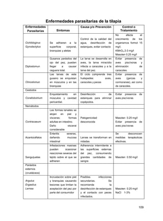 109
Enfermedades parasitarias de la tilapia
Enfermedades
Parasitarias Síntomas
Causa y/o Prevención Control o
Tratamiento
Cichlidogirus
Gyrodactylus
Se adhieren a la
superficie corporal,
branquias y aletas
Control de la calidad del
agua, desinfección de
estanques, evitar contacto
No afecta el
crecimiento de los
organismos formol 15
mg/l.
KMnO4 2-3 mg/l
Masoten 0.25 mg/l
Diplostomun
Gusanos parásitos del
ojo del pez, pueden
llegar a causar
ceguera total.
La larva se desarrolla en
aves, la larva miracidio
infecta a caracoles y a la
larva del pez.
Evitar presencia de
aves piscívoras y
eliminación de
caracoles.
Clinostomun
Las larvas de este
gusano se enquistan
en músculos y en las
branquias
El ciclo comprende tres
huéspedes: aves,
caracoles y peces
Evitar presencia de
aves (garzas y
cormoranes), así como
de caracoles.
Cestodos
Corallobotrium
Enquistamiento en
músculos y cavidad
pericardial.
Desinfección de
estanques para eliminar
copépodos.
Evitar presencia de
aves piscívoras
Nemátodos
Contracaeum
Las formas larvales se
alojan en piel y
vísceras; formas
adultas en intestino.
Daño visceral
considerable
Patogenicidad
desconocida
Masoten 0.25 mg/l
Evitar presencia de
aves piscívoras
Acantocéfalos
Enteritis severas,
dañando mucosa
intestinal
Larvas se transforman en
nidadas
Se desconocen
medidas terapéuticas
efectivas.
Sanguijuelas
Infestaciones masivas
pueden ocasionar
reacciones severas del
tejido sobre el que se
adhieren
Adherencia intermitente a
las superficies externas
del pez, consumiendo
grandes cantidades de
sangre
Masoten 0.50 mg/l
Parásitos
externos
(crustáceos)
Argulus
Ergasilus
Lernea
Incrustación sobre piel
y branquias causando
lesiones que limitan la
aceptación del pez por
parte del consumidor
Posibles infecciones
secundarias. Se
recomienda la
desinfección de estanques
y el contacto con peces
infectados.
Masoten 0.25 mg/l
NaCl 1-3%
 