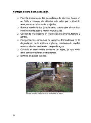 26
Ventajas de una buena aireación.
ü Permite incrementar las densidades de siembra hasta en
un 30% y manejar densidades más altas por unidad de
área, como en el caso de las jaulas.
ü Buenos rendimientos (crecimiento, conversión alimenticia,
incremento de peso y menor mortandad).
ü Control de los excesos en los niveles de amonio, fósforo y
nitritos.
ü Compensa los consumos de oxígeno demandados en la
degradación de la materia orgánica, manteniendo niveles
más constantes dentro del cuerpo de agua.
ü Controla el crecimiento excesivo de algas, ya que evita
altas concentraciones de nutrientes.
ü Elimina los gases tóxicos.
Blower: equipo suplementario para airear el agua.
 