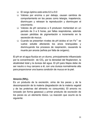 33
ü El rango óptimo está entre 6.5 a 9.0
ü Valores por encima o por debajo, causan cambios de
comportamiento en los peces como letargia, inapetencia,
disminuyen y retrasan la reproducción y disminuyen el
crecimiento.
ü Valores de pH cercanos a 5 producen mortandad en un
período de 3 a 5 horas, por fallas respiratorias, además
causan pérdidas de pigmentación e incremento en la
secreción de mucus.
ü Cuando se presentan niveles de pH ácidos el ion Fe++
se
vuelve soluble afectando los arcos branquiales y
disminuyendo los procesos de respiración, causando la
muerte por anoxia (asfixia por falta de oxígeno).
El pH en el agua fluctúa en un diurno, principalmente influenciado
por la concentración de CO2, por la densidad del fitoplancton, la
alcalinidad total y la dureza del agua. El pH para tilapia debe de
ser neutro o muy cercano a él, con una dureza normalmente alta
para proporcionar una buena condición de mucus en la piel.
Amonio (NH2).
Es un producto de la excreción, orina de los peces y de la
descomposición de la materia (degradación de la materia vegetal
y de las proteínas del alimento no consumido). El amonio no
ionizado (en forma gaseosa) y primer producto de excreción de
los peces es un elemento tóxico. La reacción que ocurre es la
siguiente:
 