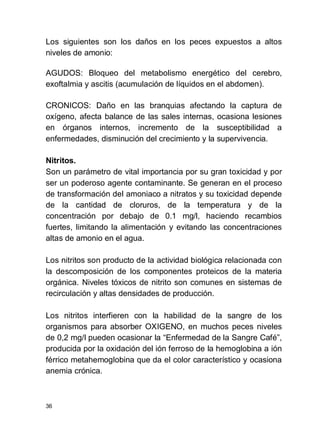 36
Los siguientes son los daños en los peces expuestos a altos
niveles de amonio:
AGUDOS: Bloqueo del metabolismo energético del cerebro,
exoftalmia y ascitis (acumulación de líquidos en el abdomen).
CRONICOS: Daño en las branquias afectando la captura de
oxígeno, afecta balance de las sales internas, ocasiona lesiones
en órganos internos, incremento de la susceptibilidad a
enfermedades, disminución del crecimiento y la supervivencia.
Nitritos.
Son un parámetro de vital importancia por su gran toxicidad y por
ser un poderoso agente contaminante. Se generan en el proceso
de transformación del amoniaco a nitratos y su toxicidad depende
de la cantidad de cloruros, de la temperatura y de la
concentración por debajo de 0.1 mg/l, haciendo recambios
fuertes, limitando la alimentación y evitando las concentraciones
altas de amonio en el agua.
Los nitritos son producto de la actividad biológica relacionada con
la descomposición de los componentes proteicos de la materia
orgánica. Niveles tóxicos de nitrito son comunes en sistemas de
recirculación y altas densidades de producción.
Los nitritos interfieren con la habilidad de la sangre de los
organismos para absorber OXIGENO, en muchos peces niveles
de 0,2 mg/l pueden ocasionar la Enfermedad de la Sangre Café ,
producida por la oxidación del ión ferroso de la hemoglobina a ión
férrico metahemoglobina que da el color característico y ocasiona
anemia crónica.
 