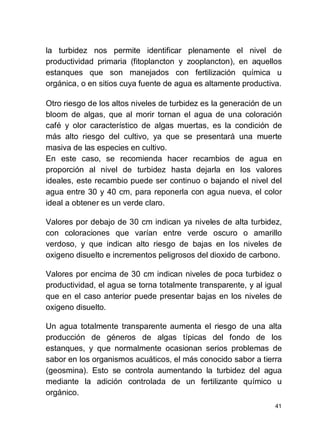 41
la turbidez nos permite identificar plenamente el nivel de
productividad primaria (fitoplancton y zooplancton), en aquellos
estanques que son manejados con fertilización química u
orgánica, o en sitios cuya fuente de agua es altamente productiva.
Otro riesgo de los altos niveles de turbidez es la generación de un
bloom de algas, que al morir tornan el agua de una coloración
café y olor característico de algas muertas, es la condición de
más alto riesgo del cultivo, ya que se presentará una muerte
masiva de las especies en cultivo.
En este caso, se recomienda hacer recambios de agua en
proporción al nivel de turbidez hasta dejarla en los valores
ideales, este recambio puede ser continuo o bajando el nivel del
agua entre 30 y 40 cm, para reponerla con agua nueva, el color
ideal a obtener es un verde claro.
Valores por debajo de 30 cm indican ya niveles de alta turbidez,
con coloraciones que varían entre verde oscuro o amarillo
verdoso, y que indican alto riesgo de bajas en los niveles de
oxigeno disuelto e incrementos peligrosos del dioxido de carbono.
Valores por encima de 30 cm indican niveles de poca turbidez o
productividad, el agua se torna totalmente transparente, y al igual
que en el caso anterior puede presentar bajas en los niveles de
oxigeno disuelto.
Un agua totalmente transparente aumenta el riesgo de una alta
producción de géneros de algas típicas del fondo de los
estanques, y que normalmente ocasionan serios problemas de
sabor en los organismos acuáticos, el más conocido sabor a tierra
(geosmina). Esto se controla aumentando la turbidez del agua
mediante la adición controlada de un fertilizante químico u
orgánico.
 