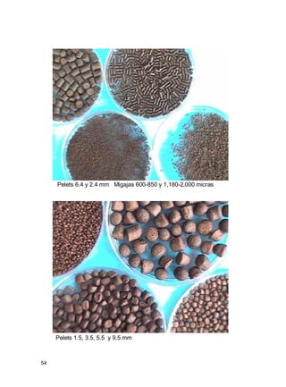 54
Pelets 6.4 y 2.4 mm Migajas 600-850 y 1,180-2,000 micras
Pelets 1.5, 3.5, 5.5 y 9.5 mm
 