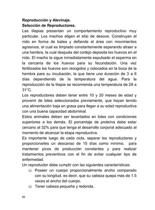 60
Reproducción y Alevinaje.
Selección de Reproductores.
Las tilapias presentan un comportamiento reproductivo muy
particular. Los machos eligen el sitio de desove. Construyen el
nido en forma de batea y defiende el área con movimientos
agresivos, el cual es limpiado constantemente esperando atraer a
una hembra, la cual después del cortejo deposita los huevos en el
nido. El macho la sigue inmediatamente expulsado el esperma en
la cercanía de los huevos para su fecundación. Una vez
fertilizados los huevos son recogidos y colocados en la boca de la
hembra para su incubación, la que tiene una duración de 3 a 6
días dependiendo de la temperatura del agua. Para la
reproducción de la tilapia se recomienda una temperatura de 28 a
31°C.
Los reproductores deben tener entre 10 y 20 meses de edad y
provenir de lotes seleccionados previamente, que hayan tenido
una alimentación baja en grasa para llegar a su edad reproductiva
con una buena capacidad abdominal.
Estos animales deben ser levantados en lotes con condiciones
superiores a los demás. El porcentaje de proteína debe estar
cercano al 32% para que tenga el desarrollo corporal adecuado al
momento de alcanzar la etapa reproductiva.
Es importante luego de cada ciclo, separar los reproductores y
proporcionarles un descanso de 15 días como mínimo, para
mantener picos de producción constantes y para realizar
tratamientos preventivos con el fin de evitar cualquier tipo de
enfermedad.
Un reproductor debe cumplir con las siguientes características:
ü Poseer un cuerpo proporcionalmente ancho comparado
con su longitud, es decir, que su cabeza quepa más de 1.5
veces el ancho del cuerpo.
ü Tener cabeza pequeña y redonda.
 