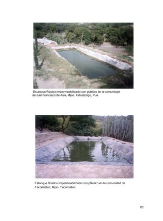 63
Estanque Rústico impermeabilizado con plástico en la comunidad
de San Francisco de Asis, Mpio. Tehuitzingo, Pue.
Estanque Rústico impermeabilizado con plástico en la comunidad de
Tecomatlan, Mpio. Tecomatlan.
 