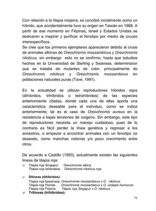 73
Con relación a la tilapia mojarra, se concibió inicialmente como un
híbrido, que accidentalmente tuvo su origen en Taiwán en 1968. A
partir de ese momento en Filipinas, Israel y Estados Unidas se
dedicaron a mejorar y purificar el fenotipo por medio de cruces
interespecíficos.
Se cree que los primeros ejemplares aparecieron debido al cruce
de animales albinos de Oreochromis mossambicus y Oreochromis
niloticus, sin embargo esto no se confirmo, hasta que estudios
hechos en la Universidad de Sterling y Swansea, determinaron
que se trataba de mutantes de color, principalmente de
Oreochromis niloticus y Oreochromis mossambicus en
poblaciones naturales puras (Tave, 1991).
En la actualidad se utilizan reproductores híbridos rojos
(dihíbridos, trihíbridos o tetrahíbridos) de las especies
anteriormente citadas, donde cada una de ellas aporta una
característica deseable para el individuo, como se indicó
anteriormente; tal es el caso de Oreochromis aureus en la
resistencia a bajas tensiones de oxígeno. Sin embargo, este tipo
de reproductores necesita un manejo cuidadoso, pues de lo
contrario es fácil perder la línea genética y regresar a los
ancestros, o empezar a encontrar animales con un fenotipo no
deseado, como manchas notorias y/o poco crecimiento entre
otros.
De acuerdo a Castillo (1993), actualmente existen las siguientes
líneas de tilapia roja:
v Tilapia roja Singapur: Oreochromis albina
Tilapia roja tailandesa: Oreochromis niloticus roja
v Dilíneas (dihíbridos):
Tilapia roja taiwanesa: Oreochromis mossambicus x O. niloticus.
Tilapia roja Florida: Oreochromis mossambicus x O. urolepis hornorum.
Tilapia roja Filipina: Tilapia roja Singapur x O. niloticus.
v Trilíneas (trihíbridos):
 
