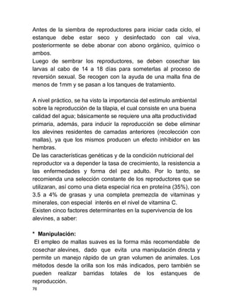 76
Antes de la siembra de reproductores para iniciar cada ciclo, el
estanque debe estar seco y desinfectado con cal viva,
posteriormente se debe abonar con abono orgánico, químico o
ambos.
Luego de sembrar los reproductores, se deben cosechar las
larvas al cabo de 14 a 18 días para someterlas al proceso de
reversión sexual. Se recogen con la ayuda de una malla fina de
menos de 1mm y se pasan a los tanques de tratamiento.
A nivel práctico, se ha visto la importancia del estimulo ambiental
sobre la reproducción de la tilapia, el cual consiste en una buena
calidad del agua; básicamente se requiere una alta productividad
primaria, además, para inducir la reproducción se debe eliminar
los alevines residentes de camadas anteriores (recolección con
mallas), ya que los mismos producen un efecto inhibidor en las
hembras.
De las características genéticas y de la condición nutricional del
reproductor va a depender la tasa de crecimiento, la resistencia a
las enfermedades y forma del pez adulto. Por lo tanto, se
recomienda una selección constante de los reproductores que se
utilizaran, así como una dieta especial rica en proteína (35%), con
3.5 a 4% de grasas y una completa premezcla de vitaminas y
minerales, con especial interés en el nivel de vitamina C.
Existen cinco factores determinantes en la supervivencia de los
alevines, a saber:
* Manipulación:
El empleo de mallas suaves es la forma más recomendable de
cosechar alevines, dado que evita una manipulación directa y
permite un manejo rápido de un gran volumen de animales. Los
métodos desde la orilla son los más indicados, pero también se
pueden realizar barridas totales de los estanques de
reproducción.
 