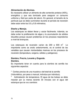 78
Alimentación de Alevines.
Es necesario utilizar un alimento de alto contenido proteico (45%),
energético y que sea tamizado para asegurar un consumo
uniforme y fácil por parte del alevín. En general, el tamaño de la
partícula que se debe suministrar durante el período de reversión
debe estar entre los 0.5 y 0.8 milímetros.
Diseño y Manejo.
Los estanques se deben llenar y vaciar fácilmente. Además, se
debe evitar la proliferación de algas y la acumulación de sólidos
disueltos porque causan problemas en los procesos respiratorios
a nivel de branquias.
Los estanques de reversión varían de 200 a 600 m2
Lo
importante como se anoto anteriormente, es el control de las
variables que causan mortandades masivas en los procesos de
reversión (temperatura, oxígeno, sólidos y patógenos).
Siembra, Precria, Levante y Engorde.
Siembra.
Es importante tener en cuenta para la siembra de semilla los
siguientes aspectos:
* Conteo preciso de una muestra o del total de la semilla
(Volumétrico, por peso o manual, individuo por individuo).
* Aclimatación de temperatura. El agua de las bolsas se debe
mezclar por (o menos durante 30 minutos con el agua del
estanque que se va a sembrar.
 