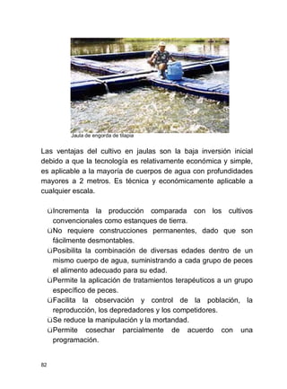 82
Jaula de engorda de tilapia
Las ventajas del cultivo en jaulas son la baja inversión inicial
debido a que la tecnología es relativamente económica y simple,
es aplicable a la mayoría de cuerpos de agua con profundidades
mayores a 2 metros. Es técnica y económicamente aplicable a
cualquier escala.
üIncrementa la producción comparada con los cultivos
convencionales como estanques de tierra.
üNo requiere construcciones permanentes, dado que son
fácilmente desmontables.
üPosibilita la combinación de diversas edades dentro de un
mismo cuerpo de agua, suministrando a cada grupo de peces
el alimento adecuado para su edad.
üPermite la aplicación de tratamientos terapéuticos a un grupo
específico de peces.
üFacilita la observación y control de la población, la
reproducción, los depredadores y los competidores.
üSe reduce la manipulación y la mortandad.
üPermite cosechar parcialmente de acuerdo con una
programación.
 