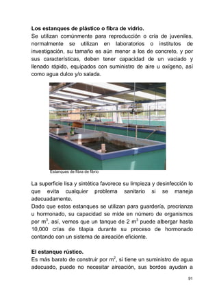 91
Los estanques de plástico o fibra de vidrio.
Se utilizan comúnmente para reproducción o cría de juveniles,
normalmente se utilizan en laboratorios o institutos de
investigación, su tamaño es aún menor a los de concreto, y por
sus características, deben tener capacidad de un vaciado y
llenado rápido, equipados con suministro de aire u oxígeno, así
como agua dulce y/o salada.
Estanques de fibra de fibrio
La superficie lisa y sintética favorece su limpieza y desinfección lo
que evita cualquier problema sanitario si se maneja
adecuadamente.
Dado que estos estanques se utilizan para guardería, precrianza
u hormonado, su capacidad se mide en número de organismos
por m3
, así, vemos que un tanque de 2 m3
puede albergar hasta
10,000 crías de tilapia durante su proceso de hormonado
contando con un sistema de aireación eficiente.
El estanque rústico.
Es más barato de construir por m2
, si tiene un suministro de agua
adecuado, puede no necesitar aireación, sus bordos ayudan a
 