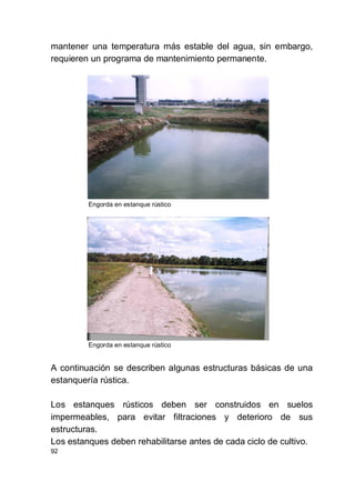 92
mantener una temperatura más estable del agua, sin embargo,
requieren un programa de mantenimiento permanente.
Engorda en estanque rústico
Engorda en estanque rústico
A continuación se describen algunas estructuras básicas de una
estanquería rústica.
Los estanques rústicos deben ser construidos en suelos
impermeables, para evitar filtraciones y deterioro de sus
estructuras.
Los estanques deben rehabilitarse antes de cada ciclo de cultivo.
 