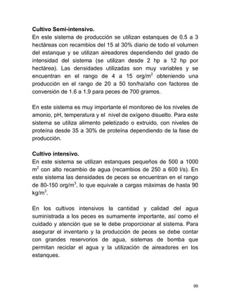 99
Cultivo Semi-intensivo.
En este sistema de producción se utilizan estanques de 0.5 a 3
hectáreas con recambios del 15 al 30% diario de todo el volumen
del estanque y se utilizan aireadores dependiendo del grado de
intensidad del sistema (se utilizan desde 2 hp a 12 hp por
hectárea). Las densidades utilizadas son muy variables y se
encuentran en el rango de 4 a 15 org/m2
obteniendo una
producción en el rango de 20 a 50 ton/ha/año con factores de
conversión de 1.6 a 1.9 para peces de 700 gramos.
En este sistema es muy importante el monitoreo de los niveles de
amonio, pH, temperatura y el nivel de oxígeno disuelto. Para este
sistema se utiliza alimento peletizado o extruido, con niveles de
proteína desde 35 a 30% de proteína dependiendo de la fase de
producción.
Cultivo intensivo.
En este sistema se utilizan estanques pequeños de 500 a 1000
m2
con alto recambio de agua (recambios de 250 a 600 l/s). En
este sistema las densidades de peces se encuentran en el rango
de 80-150 org/m3
, lo que equivale a cargas máximas de hasta 90
kg/m3
.
En los cultivos intensivos la cantidad y calidad del agua
suministrada a los peces es sumamente importante, así como el
cuidado y atención que se le debe proporcionar al sistema. Para
asegurar el inventario y la producción de peces se debe contar
con grandes reservorios de agua, sistemas de bomba que
permitan reciclar el agua y la utilización de aireadores en los
estanques.
 