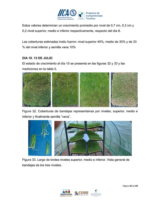 MANUAL DE PRODUCCION DE FORRAJE VERDE HIDROPONICO - IICA-UTEM.pdf