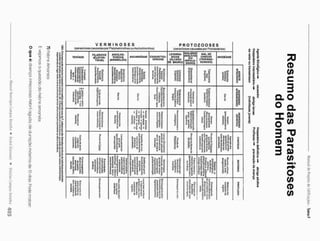 3
•Q
a
V»
Çn
.fci
O
VI
. o
c
D
o
o
D
£
5
cr
T.
O
C
O
& *
a
<a
a
c
3
•o
o
o
X
3
a
CL
ít>
O
a
o
S
•
c
o
3
o
s
m
o
3
o
<j>
Q
X)
£Z
(D
U)
s
O
CL
O
£
cr
C
D
Q
Q
ÍL
o
O"
a
I
0
1
o
V E R M I N O S E S
(parasícsescausadasporPtetyhelminthesouAscheiminlhos)
tenIASE
IstisS
" 5 t f !
í
• a
mi
||||
l l ü
s
PS
' I S i t l
• i» s,
j 5 s
t
í
nm
FILAR IOSE
(ELEFAN-
TfASE»
tf
Íí
S i 3
I Í I
i ! i
e ií.a.
l i l l l l
ANCILQS-
T
O
M
O
S
E
(AMARELÃO)
Í M
H I
l 1
Cl »
l f ? l
m
H r í s i í f
i i m i
n
d
H |
ASCARIDtASE
m m
- I s M i
g
1 &«
Ü f
| • 3 S -
Tf 1*1*
l í í t h
•isr
ESQUISTOS-
SOMOSE
leishma-
JJIQSE
(ULCERA
OE BAURU)
l i !
y - t
H5-
A J
mu
mm
i i t i s i
1
I t . f l
- q l
P R O T O Z O O S E S
(pafasiicses causadas por Protozoáfios)
MAIORIA
(MALEITA^
OU
IMPALU-
DISMO)
t r i
a ° <
Ji
?
¥
i i i l
4 l i
í i i
t h
s l i »
l i l l
V t w
Cf *
5 » rn
á f f í
I f f f
M
A
L D
E
C
H
A
G
A
S
[TRIPANO-
S
O
M
O
S
E
)
l l
f f f
i f l l
Slíi
[ P i
s l i f f
a i i i f l
i l i l l i
= g-p
í si rfí
m
l J Í
AMEBÍA&E
f
- K
s
l í l f f ?
9 °
|l|
8 |
o m
I h
Ho
I 5
Í O
5
6
0
1
o x >
C o o
«
r «
i í n
» m
o ^ -
c o o
3" 3 S*
a <t =•
£ *
l ã0
• n
1 Ê
£
a
^ * s
2
5 S
ã Ü
£ "
S 3
o »
T
> X
l l
» C
L
5' ®
t 3
t a
9
1 |
- I
O T
D
L
u a
f S
S <a
3 «
•fl U
»s.
3
( D
3
ZJ
(D
Ui
o a
T 0 )
O w
"D
0 )
&>
w
••••
Õ
(/>
(D
( 0
"O
o
3
 