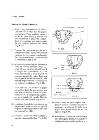 Manual de protesis total