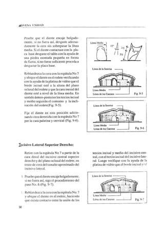 Manual de protesis total