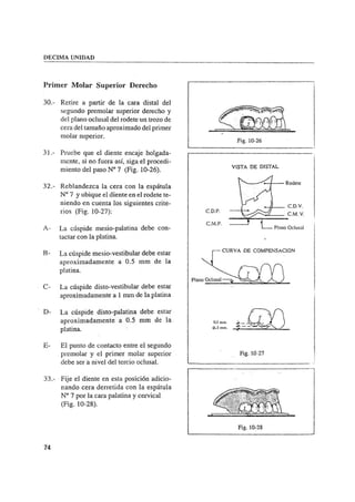 Manual de protesis total