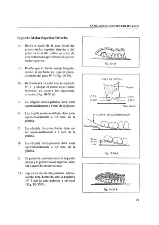 Manual de protesis total