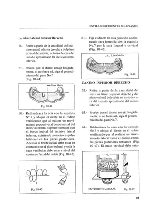 Manual de protesis total