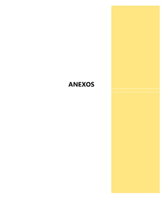 ANEXOS 
 