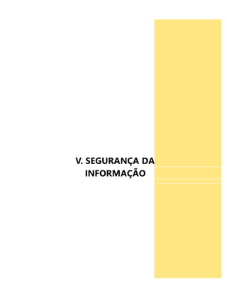 V. SEGURANÇA DA 
INFORMAÇÃO 
 