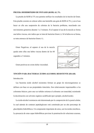 18
PRUEBA DEHIDRÓXIDO DE POTASIO (KOH) AL 3%
La prueba de KOH al 3% nos permite ratificar los resultados de la tinción de Gram.
Esta prueba consiste en colocar sobre una laminilla una gota de KOH al 3% y con el asa
hacer en ella una suspensión de colonias de la bacteria problema, mezclando con
movimientos giratorios durante 1 a 3 minutos. Si al separar el asa de la mezcla se forma
una hebra viscosa, esto indica que se trata de bacterias Gram (-). Si la hebra no se forma,
se trata entonces de bacterias Gram (+).
Gram Negativas; al separar el asa de la mezcla
queda entre ellas una hebra viscosa dentro de los 60
segundos a 3 minutos.
Gram positivas no existe dicha viscosidad.
TINCIÓN PARA BACTERIAS ÁCIDO-ALCOHOL RESISTENTE (BAAR)
Introducción
Las bacterias ácido alcohol resistentes forman un grupo de microorganismos se
definen con base en sus propiedades tintoriales. Son relativamente impermeables a los
colorantes básicos, pero una vez teñidos retienen el colorante con tenacidad, resistiendo
la decoloración con solvente orgánico acidificado (por ejemplo, alcohol-ácido).
La ácido-alcohol resistencia está determinada por la composición de la pared celular,
la cual además de contener peptidoglicano está constituida por un alto porcentaje de
glucolípidos hidrofóbicos. Un componente importante de estos, son los ácidos micólicos.
La presencia de estas capas hidrofóbicas previene la penetración de soluciones acuosas,
 