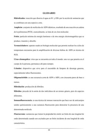 34
GLOSARIO
Hidrolizados: reacción que disocia el agua en H+ y OH- por la acción de sustancias que
se combinan con una especie u otra.
Amplicón: conjunto de moléculas de ADN idénticas, resultado de una reacción en cadena
de la polimerasa (PCR). esencialmente, se trata de un clon molecular.
Fotón: partícula mínima de energía luminosa o de otra energía electromagnética que se
produce, trasmite y absorbe.
Termocicladores: aparato usado en biología molecular que permite realizar los ciclos de
temperatura necesarias para la amplificación de diversas hebras de ADN en técnica de
PCR.
Cirus citomegalico: virus que se encuentra en todo el mundo. una vez que penetra en el
cuerpo de la persona, permanece ahí para siempre.
Cebador: dispositivo que sirve para el encendido de lámpara de descarga gaseosa,
especialmente tubos fluorescentes.
Oligonucleótido: es una secuencia corta de ADN o ARN, con cincuenta pares de base o
menos.
Hibridación: producción de híbridos.
Híbridos: procede de la unión de dos individuos de un mismo género, pero de especies
diferentes.
Inmunofluorescencia: es una técnica de inmuno marcación que hace uso de anticuerpos
unidos químicamente a una sustancia fluorescente para demostrar la presencia de una
determinada molécula.
Fluorocromo: sustancias que tienen la propiedad de emitir un fotón de una longitud de
onda determinada cuando son excitados por un fotón incidente de una longitud de onda
característica.
 