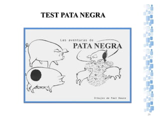 TEST PATA NEGRA
29
 