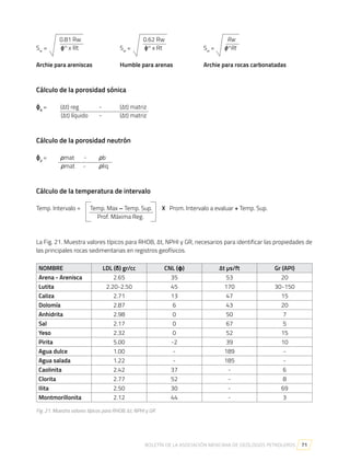 Manual_de_Registros_Geofisicos-1.pdf