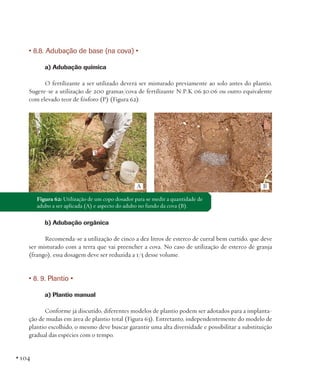 • 8.8. Adubação de base (na cova) •
a) Adubação química
O fertilizante a ser utilizado deverá ser misturado previamente ao solo antes do plantio.
Sugere-se a utilização de 200 gramas/cova de fertilizante N:P:K 06:30:06 ou outro equivalente
com elevado teor de fósforo (P) (Figura 62).

A

B

Figura 62: Utilização de um copo dosador para se medir a quantidade de
adubo a ser aplicada (A) e aspecto do adubo no fundo da cova (B).

b) Adubação orgânica
Recomenda-se a utilização de cinco a dez litros de esterco de curral bem curtido, que deve
ser misturado com a terra que vai preencher a cova. No caso de utilização de esterco de granja
(frango), essa dosagem deve ser reduzida a 1/3 desse volume.

• 8. 9. Plantio •
a) Plantio manual
Conforme já discutido, diferentes modelos de plantio podem ser adotados para a implantação de mudas em área de plantio total (Figura 63). Entretanto, independentemente do modelo de
plantio escolhido, o mesmo deve buscar garantir uma alta diversidade e possibilitar a substituição
gradual das espécies com o tempo.

• 104

 