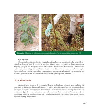 A

B

Figura 69: Adubação de cobertura de uma muda plantada (A) e de um indivíduo regenerante (B).

b) Orgânica
Da mesma forma como descrito para a adubação de base, na adubação de cobertura podem-se utilizar de 5 a 10 litros de esterco de curral curtido por muda. No caso de utilização de esterco
de granja (frango), essa dosagem deve ser reduzida a 1/3 desse volume. Nesses casos, o esterco deve
ser incorporado ao solo, preferencialmente durante a estação das chuvas, para sua melhor absorção.
Da mesma forma como recomendado para os adubos químicos, a aplicação do esterco deverá ser
realizada após a capina ou sob condições de baixa infestação de plantas invasoras.

• 8.13. Manutenção •
	
A manutenção das áreas de restauração deve ser realizada até 30 meses após o plantio ou
até o total recobrimento do solo pela sombra da copa das árvores, calculando-se uma média de 12
aplicações ou capinas nesse período. Basicamente, a manutenção consiste na limpeza da área de
coroamento (que deve ser realizada da mesma forma como descrito no item “coroamento”), no
controle periódico de formigas cortadeiras e na adubação de cobertura, também de acordo com as
recomendações já apresentadas.

109 •

 