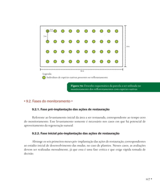 Figura 70: Desenho esquemático da parcela a ser utilizada no
monitoramento dos reflorestamentos com espécies nativas.

• 9.2. Fases do monitoramento •
9.2.1. Fase pré-implantação das ações de restauração
Referente ao levantamento inicial da área a ser restaurada, correspondente ao tempo zero
do monitoramento. Esse levantamento somente é necessário nos casos em que há potencial de
aproveitamento da regeneração natural.
	
9.2.2. Fase inicial pós-implantação das ações de restauração
Abrange os seis primeiros meses pós-implantação das ações de restauração, correspondentes
ao estádio inicial de desenvolvimento das mudas, no caso de plantios. Nesses casos, as avaliações
devem ser realizadas mensalmente, já que essa é uma fase crítica e que exige rápida tomada de
decisão.

117 •

 
