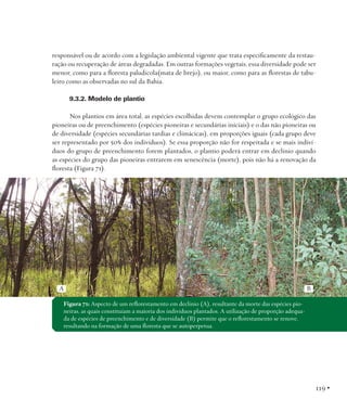 responsável ou de acordo com a legislação ambiental vigente que trata especificamente da restauração ou recuperação de áreas degradadas. Em outras formações vegetais, essa diversidade pode ser
menor, como para a floresta paludícola(mata de brejo), ou maior, como para as florestas de tabuleiro como as observadas no sul da Bahia.
9.3.2. Modelo de plantio
Nos plantios em área total, as espécies escolhidas devem contemplar o grupo ecológico das
pioneiras ou de preenchimento (espécies pioneiras e secundárias iniciais) e o das não pioneiras ou
de diversidade (espécies secundárias tardias e climácicas), em proporções iguais (cada grupo deve
ser representado por 50% dos indivíduos). Se essa proporção não for respeitada e se mais indivíduos do grupo de preenchimento forem plantados, o plantio poderá entrar em declínio quando
as espécies do grupo das pioneiras entrarem em senescência (morte), pois não há a renovação da
floresta (Figura 71).

A

B

Figura 71: Aspecto de um reflorestamento em declínio (A), resultante da morte das espécies pioneiras, as quais constituíam a maioria dos indivíduos plantados. A utilização de proporção adequada de espécies de preenchimento e de diversidade (B) permite que o reflorestamento se renove,
resultando na formação de uma floresta que se autoperpetua.

119 •

 