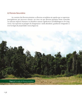 b) Floresta Secundária
Ao contrário das florestas primárias, as florestas secundárias são aquelas que se regeneram,
principalmente por processos naturais, nas áreas em que florestas primárias foram removidas
ou sofreram impactos humanos ou distúrbios naturais significativos (Chokkalingam & De Jong,
2001). Sua expressão na paisagem de Paragominas é ainda abundante, geralmente integrando as
reservas legais de propriedades rurais (Figura 6).

Figura 6: Exemplo de floresta secundária.

• 28

 
