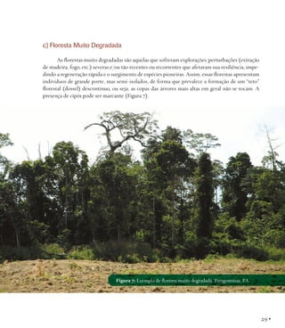 c) Floresta Muito Degradada
As florestas muito degradadas são aquelas que sofreram explorações/perturbações (extração
de madeira, fogo, etc.) severas e/ou tão recentes ou recorrentes que afetaram sua resiliência, impedindo a regeneração rápida e o surgimento de espécies pioneiras. Assim, essas florestas apresentam
indivíduos de grande porte, mas semi-isolados, de forma que prevalece a formação de um “teto”
florestal (dossel) descontínuo, ou seja, as copas das árvores mais altas em geral não se tocam. A
presença de cipós pode ser marcante (Figura 7).

Figura 7: Exemplo de floresta muito degradada. Paragominas, PA.

29 •

 