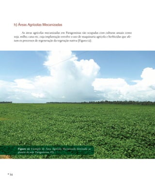 h) Áreas Agrícolas Mecanizadas
As áreas agrícolas mecanizadas em Paragominas são ocupadas com culturas anuais como
soja, milho, cana etc, cuja implantação envolve o uso de maquinaria agrícola e herbicidas que afetam os processos de regeneração da vegetação nativa (Figura 12).

Figura 12: Exemplo de Área Agrícola Mecanizada destinada ao
plantio de soja. Paragominas, PA.

• 34

 