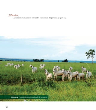 j) Pecuária
Áreas consolidadas com atividades econômicas de pecuária (Figura 14).

Figura 14: Exemplo de área consolidada de pecuária.

• 36

 