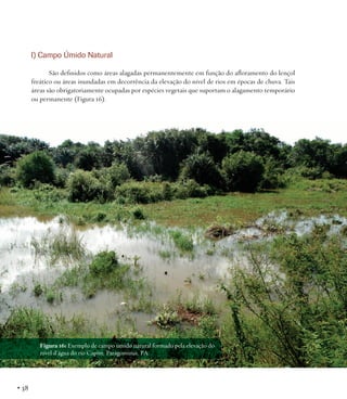 l) Campo Úmido Natural
São definidos como áreas alagadas permanentemente em função do afloramento do lençol
freático ou áreas inundadas em decorrência da elevação do nível de rios em épocas de chuva. Tais
áreas são obrigatoriamente ocupadas por espécies vegetais que suportam o alagamento temporário
ou permanente (Figura 16).

Figura 16: Exemplo de campo úmido natural formado pela elevação do
nível d’água do rio Capim. Paragominas, PA.

• 38

 