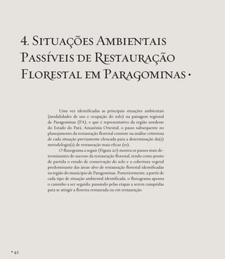 4. Situações Ambientais
Passíveis de Restauração
Florestal em Paragominas •
Uma vez identificadas as principais situações ambientais
(modalidades de uso e ocupação do solo) na paisagem regional
de Paragominas (PA), e que é representativo da região nordeste
do Estado do Pará, Amazônia Oriental, o passo subsequente no
planejamento da restauração florestal consiste na análise criteriosa
de cada situação previamente elencada para a determinação da(s)
metodologia(s) de restauração mais eficaz (es).
O fluxograma a seguir (Figura 20) mostra os passos mais determinantes do sucesso da restauração florestal, tendo como ponto
de partida o estado de conservação do solo e a cobertura vegetal
predominante das áreas-alvo de restauração florestal identificadas
na região do município de Paragominas. Posteriormente, a partir de
cada tipo de situação ambiental identificada, o fluxograma aponta
o caminho a ser seguido, passando pelas etapas a serem cumpridas
para se atingir a floresta restaurada ou em restauração.

• 42

 