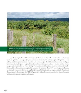 Figura 21: Área de preservação permanente (APP) isolada do trânsito de
animais por meio do uso de cerca. Fazenda Santa Maria, Paragominas, PA.

A demarcação das APP’s e a interrupção de todas as atividades relacionadas aos tratos de
culturas agrícolas e pastagens (roçada química ou mecânica) constituem ações obrigatórias, e sua
não execução implica tanto em prejuízo para a restauração florestal como também se configura
como uma infração grave à legislação ambiental, expondo o proprietário a multas, sansões penais
e agravantes instituídos no Novo Código Florestal, como dificuldade de acesso a linhas de crédito bancário e financiamentos agrícolas, aumento do tamanho das APP’s com obrigatoriedade de
restauração e aumento da reserva legal de 50% para 80% da área total da propriedade. Para isso, é
fundamental a demarcação das APP’s (Figuras 22 e 23) de forma que seus limites fiquem bastante
nítidos e impeçam as roçadas equivocadas.

• 46

 