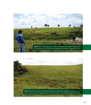Figura 22: Demarcação de área de preservação permanente (margem de
reservatório) com uso de trena. Fazenda Santa Maria, Paragominas, PA.

Figura 23: Área de preservação permanente (nascente) demarcada num raio de 50 metros ao redor do olho d’água (estacas escuras). Fazenda Santa Maria, Paragominas, PA.

47 •

 