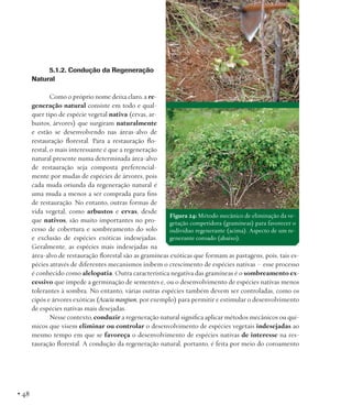 5.1.2. Condução da Regeneração
Natural
Como o próprio nome deixa claro, a regeneração natural consiste em todo e qualquer tipo de espécie vegetal nativa (ervas, arbustos, árvores) que surgiram naturalmente
e estão se desenvolvendo nas áreas-alvo de
restauração florestal. Para a restauração florestal, o mais interessante é que a regeneração
natural presente numa determinada área-alvo
de restauração seja composta preferencialmente por mudas de espécies de árvores, pois
cada muda oriunda da regeneração natural é
uma muda a menos a ser comprada para fins
de restauração. No entanto, outras formas de
vida vegetal, como arbustos e ervas, desde
Figura 24: Método mecânico de eliminação da veque nativos, são muito importantes no progetação competidora (gramíneas) para favorecer o
cesso de cobertura e sombreamento do solo
indivíduo regenerante (acima). Aspecto de um ree exclusão de espécies exóticas indesejadas.
generante coroado (abaixo).
Geralmente, as espécies mais indesejadas na
área-alvo de restauração florestal são as gramíneas exóticas que formam as pastagens, pois, tais espécies através de diferentes mecanismos inibem o crescimento de espécies nativas – esse processo
é conhecido como alelopatia. Outra característica negativa das gramíneas é o sombreamento excessivo que impede a germinação de sementes e, ou o desenvolvimento de espécies nativas menos
tolerantes à sombra. No entanto, várias outras espécies também devem ser controladas, como os
cipós e árvores exóticas (Acacia mangium, por exemplo) para permitir e estimular o desenvolvimento
de espécies nativas mais desejadas.
Nesse contexto, conduzir a regeneração natural significa aplicar métodos mecânicos ou químicos que visem eliminar ou controlar o desenvolvimento de espécies vegetais indesejadas ao
mesmo tempo em que se favoreça o desenvolvimento de espécies nativas de interesse na restauração florestal. A condução da regeneração natural, portanto, é feita por meio do coroamento

• 48

 