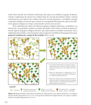 restal. Nesse método, são realizadas combinações das espécies em módulos ou grupos de plantio,
visando à implantação de espécies dos estádios finais de sucessão (secundárias tardias e clímax)
conjuntamente com espécies dos estádios iniciais de sucessão (pioneiras e secundárias iniciais),
compondo unidades sucessionais que resultam em uma gradual substituição de espécies dos diferentes grupos ecológicos no tempo, caracterizando o processo de sucessão.
Para combinação de espécies de diferentes grupos ecológicos (pioneiras, secundárias e/ou
climácicas) é recomendado o plantio em linhas alternadas. Dessa forma, as linhas de plantio alternam espécies de grupos ecológicos distintos, que representarão os módulos sucessionais. Para a
implantação dessas linhas, a lista de espécies nativas regionais é dividida em dois grupos funcionais:
grupo de recobrimento e grupo de diversidade (Nave, 2005).

1.	 Área agrícola abandonada ou pastagem apresentando regeneração natural de espécies arbóreas
(situação inicial), após ou não indução do banco
autóctone.
2.	Plantio de adensamento no espaçamento 2x2 m
com espécies de rápido crescimento, visando garantir o rápido recobrimento do solo;
3.	 Plantio de enriquecimento no espaçamento 6x6 m
utilizando espécies secundárias iniciais, secundárias
tardias e climácicas ou de procedência diferente daquela das espécies já existentes.

Legenda:
Gramíneas

Indivíduos remanescentes
ou germinados do banco

Pioneira + sec. inicial +
frutíferas atrativas de fauna

Secundária inicial + secundárias
tardias + clímax + diversidade

Figura 26: Representação esquemática do plantio de adensamento com espécies pioneiras e secundárias
iniciais usando espaçamento 2 m x 2 m e com posterior plantio de enriquecimento com espécies tardias e
climácicas usando espaçamento 6 m x 6 m.

• 52

 