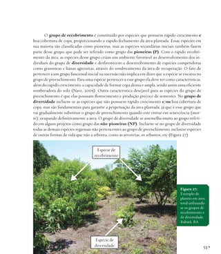 O grupo de recobrimento é constituído por espécies que possuem rápido crescimento e
boa cobertura de copa, proporcionando o rápido fechamento da área plantada. Essas espécies em
sua maioria são classificadas como pioneiras, mas as espécies secundárias iniciais também fazem
parte desse grupo, que pode ser referido como grupo das pioneiras (P). Com o rápido recobrimento da área, as espécies desse grupo criam um ambiente favorável ao desenvolvimento dos indivíduos do grupo de diversidade e desfavorecem o desenvolvimento de espécies competidoras
como gramíneas e lianas agressivas, através do sombreamento da área de recuperação. O fato de
pertencer a um grupo funcional inicial na sucessão não implica em dizer que a espécie se encaixa no
grupo de preenchimento. Para uma espécie pertencer a esse grupo ela deve ter como características,
além do rápido crescimento, a capacidade de formar copa densa e ampla, sendo assim uma eficiente
sombreadora do solo (Nave, 2005). Outra característica desejável para as espécies do grupo de
preenchimento é que elas possuam florescimento e produção precoce de sementes. No grupo de
diversidade incluem-se as espécies que não possuem rápido crescimento e/ou boa cobertura de
copa, mas são fundamentais para garantir a perpetuação da área plantada, já que é esse grupo que
vai gradualmente substituir o grupo de preenchimento quando este entrar em senescência (morte), ocupando definitivamente a área. O grupo de diversidade se assemelha muito ao grupo referido em alguns projetos como grupo das não-pioneiras (NP). Incluem-se no grupo de diversidade
todas as demais espécies regionais não pertencentes ao grupo de preenchimento, inclusive espécies
de outras formas de vida que não a arbórea, como as arvoretas, os arbustos, etc (Figura 27).
Espécie de
recobrimento

Figura 27:
Exemplo de
plantio em área
total utilizandose os grupos de
recobrimento e
de diversidade,
Itabatã, BA.

Espécie de
diversidade

53 •

 