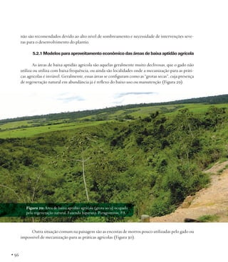 não são recomendados devido ao alto nível de sombreamento e necessidade de intervenções severas para o desenvolvimento do plantio.
5.2.1 Modelos para aproveitamento econômico das áreas de baixa aptidão agrícola
As áreas de baixa aptidão agrícola são aquelas geralmente muito declivosas, que o gado não
utiliza ou utiliza com baixa frequência, ou ainda são localidades onde a mecanização para as práticas agrícolas é inviável. Geralmente, essas áreas se configuram como as “grotas secas”, cuja presença
de regeneração natural em abundância já é reflexo do baixo uso ou manutenção (Figura 29).

Figura 29: Área de baixa aptidão agrícola (grota seca) ocupada
pela regeneração natural. Fazenda Juparanã, Paragominas, PA.

Outra situação comum na paisagem são as encostas de morros pouco utilizadas pelo gado ou
impossível de mecanização para as práticas agrícolas (Figura 30).

• 56

 