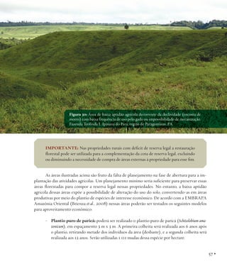 Figura 30: Área de baixa aptidão agrícola decorrente da declividade (encosta de
morro) com baixa frequência de uso pelo gado ou impossibilidade de mecanização.
Fazenda Teolinda I, Ipixuna do Pará, região de Paragominas, PA.

IMPORTANTE: Nas propriedades rurais com déficit de reserva legal a restauração
florestal pode ser utilizada para a complementação da cota de reserva legal, excluindo
ou diminuindo a necessidade de compra de áreas externas à propriedade para esse fim.
As áreas ilustradas acima são fruto da falta de planejamento na fase de abertura para a implantação das atividades agrícolas. Um planejamento mínimo seria suficiente para preservar essas
áreas florestadas para compor a reserva legal nessas propriedades. No entanto, a baixa aptidão
agrícola dessas áreas expõe a possibilidade de alteração do uso do solo, convertendo-as em áreas
produtivas por meio do plantio de espécies de interesse econômico. De acordo com a EMBRAPA
Amazônia Oriental (Brienza et al., 2008) nessas áreas poderão ser testados os seguintes modelos
para aproveitamento econômico:
- Plantio puro de paricá: poderá ser realizado o plantio puro de paricá (Schizolobium amazonicum), em espaçamento 3 m x 3 m. A primeira colheita será realizada aos 6 anos após
o plantio, retirando metade dos indivíduos da área (desbaste), e a segunda colheita será
realizada aos 12 anos. Serão utilizadas 1.111 mudas dessa espécie por hectare.

57 •

 