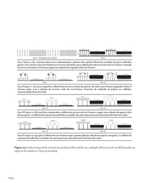 Figura 32: Linha temporal do sistema de produção florestal de uso múltiplo (Brienza et al. 2008) baseado em
espécies de madeira e fruta (castanha).

• 60

 