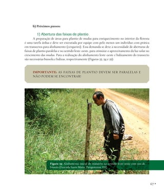 b) Próximos passos:

1) Abertura das faixas de plantio
A preparação de áreas para plantio de mudas para enriquecimento no interior da floresta
é uma tarefa árdua e deve ser executada por equipe com pelo menos um indivíduo com prática
em transectos para alinhamento (cerqueiro). Essa demanda se deve à necessidade de aberturas de
faixas de plantio paralelas e no sentido leste-oeste, para otimizar o aproveitamento da luz solar no
crescimento das mudas. Para a realização do alinhamento leste-oeste e balizamento do transecto
são necessárias bússola e balizas, respectivamente (Figuras 33, 34 e 35).

IMPORTANTE: AS FAIXAS DE PLANTIO DEVEM SER PARALELAS E
NÃO PODEM SE ENCONTRAR!

Figura 33: Alinhamento inicial do transecto no sentido leste-oeste com uso de
bússola (Fazenda Santa Maria, Paragominas, PA).

67 •

 