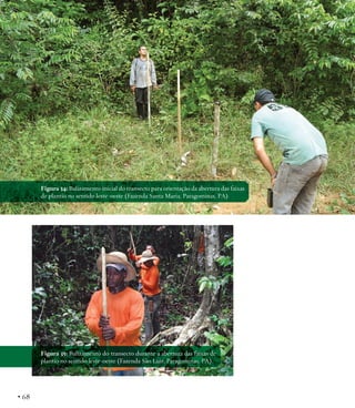 Figura 34: Balizamento inicial do transecto para orientação da abertura das faixas
de plantio no sentido leste-oeste (Fazenda Santa Maria, Paragominas, PA).

Figura 35: Balizamento do transecto durante a abertura das faixas de
plantio no sentido leste-oeste (Fazenda São Luiz, Paragominas, PA).

• 68

 