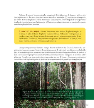 As faixas de plantio foram projetadas para possuir dois (2) metros de largura e 200 metros
de comprimento. A distância entre uma faixa e outra deve ser de oito (8) metros contados a partir
do centro da faixa de plantio. Nessas dimensões, cada conjunto composto por 25 faixas paralelas
de plantio constitui uma parcela de quatro (4) hectares, e cada conjunto de 20 parcelas forma um
módulo de plantio de 80 hectares.

É PRECISO PLANEJAR!! Nessas dimensões, uma parcela de plantio exigirá a
abertura de 5 km de faixas de plantio e um módulo de 80 hectares corresponderá a
100 km. A abertura dessas faixas pode demorar até três meses com uma equipe de 12
a 16 homens. Portanto, o planejamento deve prever a abertura ainda na estação seca
para o plantio ocorrer no início da estação chuvosa.

Um aspecto que merece bastante atenção durante a abertura das faixas de plantios diz respeito ao corte de árvores para limpeza dessas faixas. Apesar de não existir um diâmetro estabelecido
para as árvores que podem ou não ser cortadas durante a abertura e limpeza das faixas de plantio, o
bom senso deve sempre prevalecer objetivando diminuir ao máximo o impacto da abertura sobre
a floresta. Dessa forma, somente árvores pequenas (arvoretas) devem ser eliminadas no momento
de abertura. Sob hipótese alguma se deve cortar árvores de médio e grande porte (Figura 36).

Figura 36: Aspecto de uma faixa de plantio aberta em floresta fechada. Nota-se que apenas
a vegetação arbustiva e pequenas árvores foram eliminadas durante a abertura e limpeza da
faixa de plantio. Árvores de maior porte ou já bem estabelecidas devem ser mantidas para
minimizar o impacto ambiental dessa atividade (Fazenda São Luiz, Paragominas, PA).

69 •

 